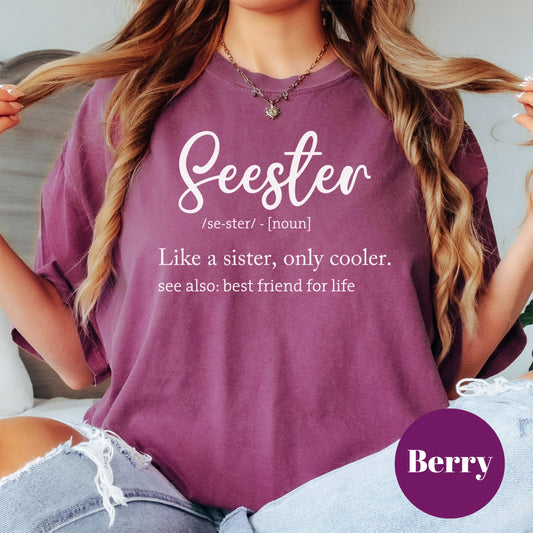 Seester Definition Comfort Colors® Shirt, Funny Sister Gift Shirt, Best Friend Tee, Cool Sister Graphic Tee, Soul Sister Shirt