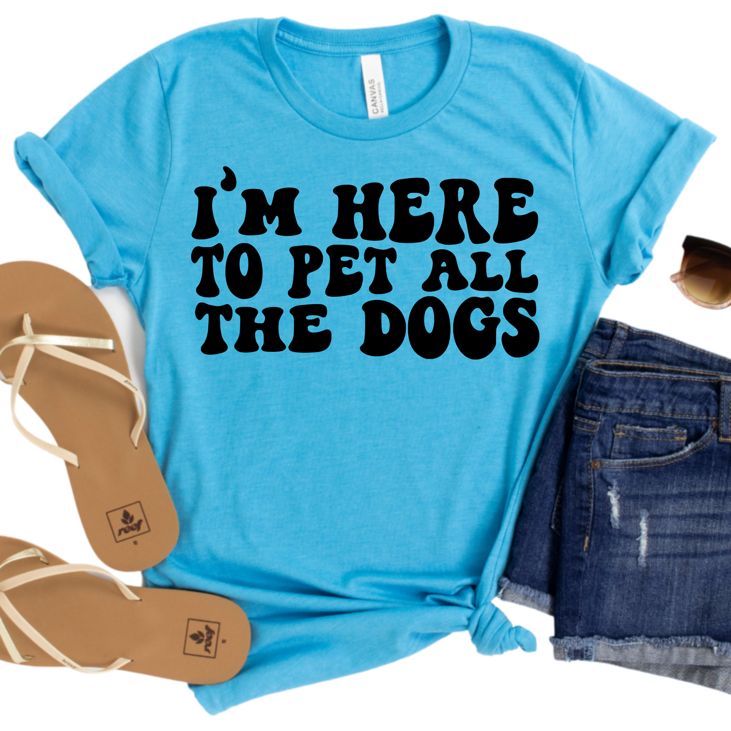 I’m Here to Pet All the Dogs T-Shirt - Funny Dog Lover Graphic Tee - Cute Pet-Themed Shirt for Women - Casual and Comfy Gift
