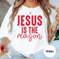 Jesus Is the Reason Shirt or Sweatshirt – Christian Christmas Top – S-4XL Plus Size – Multiple Colors