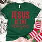 Jesus Is the Reason Shirt or Sweatshirt – Christian Christmas Top – S-4XL Plus Size – Multiple Colors